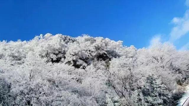 如龙0